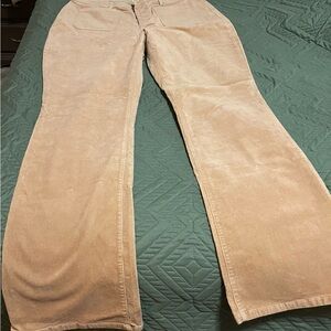 Style & Co. Light Tan Flare Pants